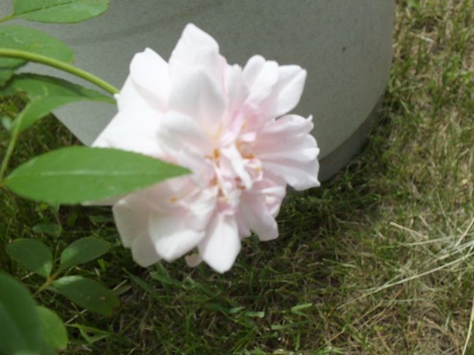  photo cecilecemetary2_zps6c8d1db4.jpg